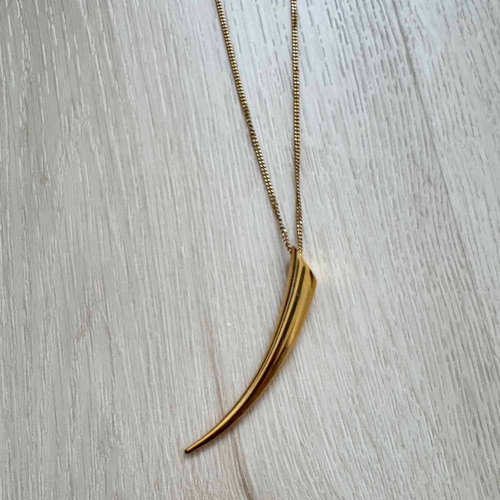 Michael Kors Long Horn Pendant Necklace - Picture 3 of 5